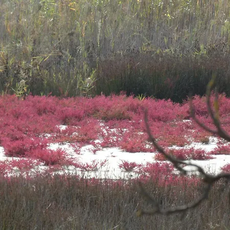 Casa Licanio * Бибионе