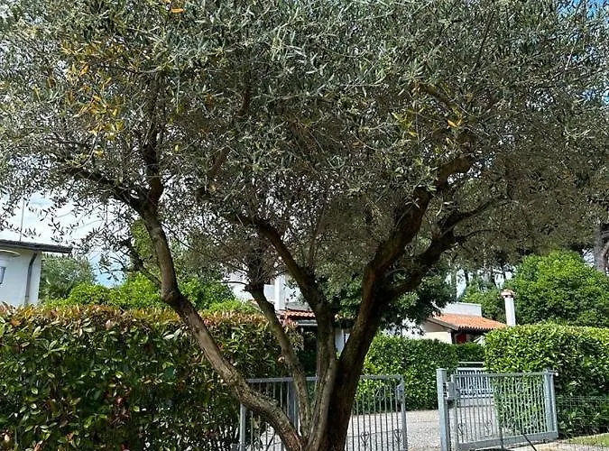 Dom wakacyjny Casa Licanio Bibione